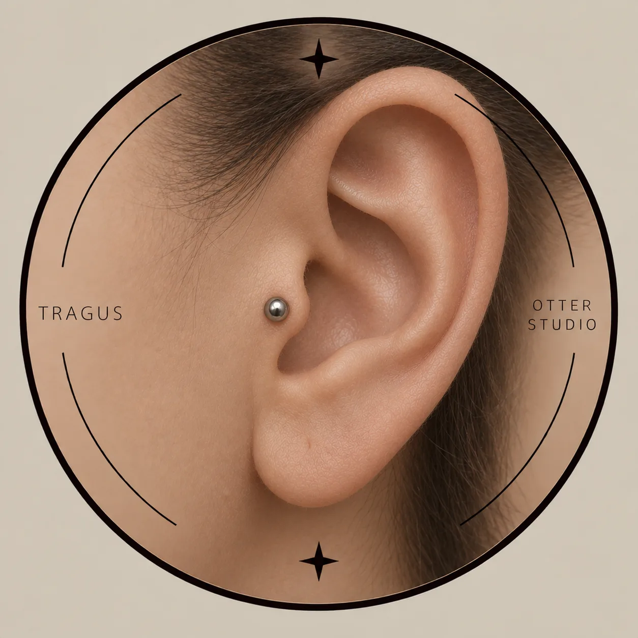 Referencia de Tragus con joyería BÁSICA de acero quirúrgico o titanio