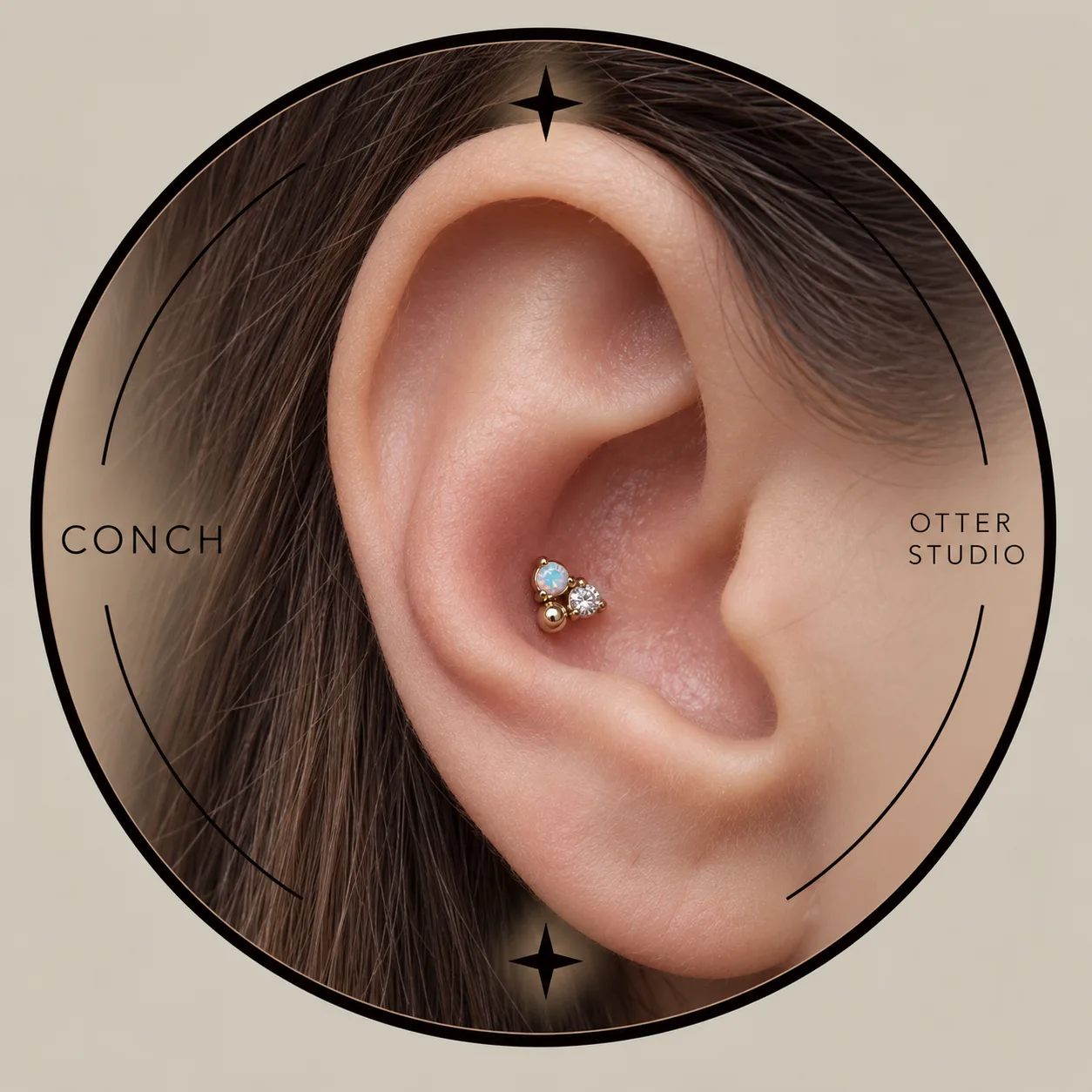 Referencia de Conch con Joyería BÁSICA de acero quirúrgico o titanio